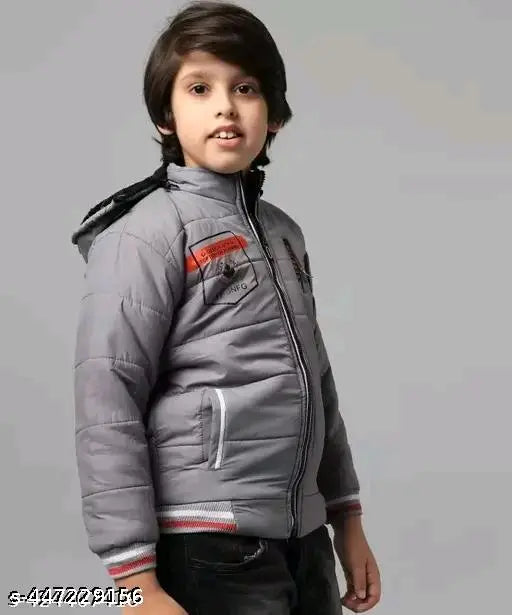 Gray jacket with hood and striped design, zip closure