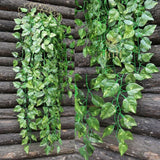 Pack Of 5 Silk Polyester Artificial Money Plant Leaf Vine Hanging Garland Foliage Flowers Leaf Plants For Wall Decoration (Color: Green,Length: 15 Feet) - GillKart