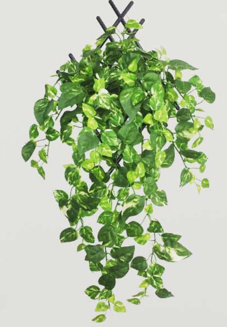 Pack Of 5 Silk Polyester Artificial Money Plant Leaf Vine Hanging Garland Foliage Flowers Leaf Plants For Wall Decoration (Color: Green,Length: 15 Feet) - GillKart
