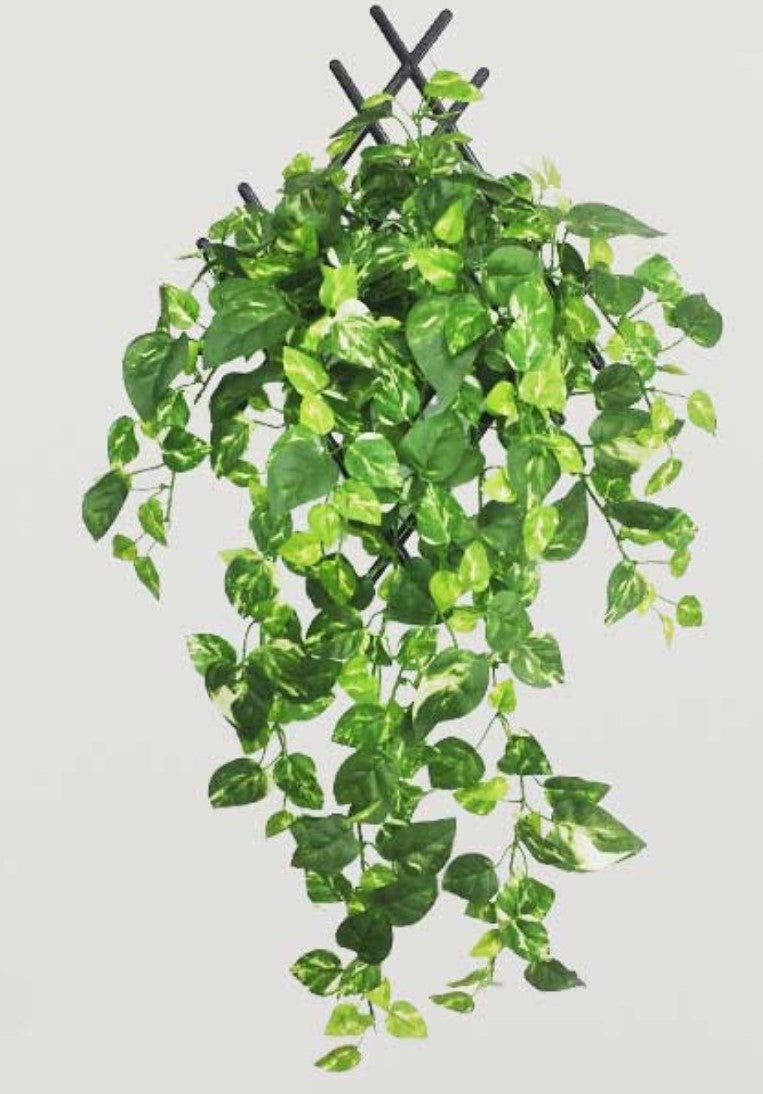 Pack Of 3 Silk Polyester Artificial Money Plant Leaf Vine Hanging Garland Foliage Flowers Leaf Plants For Wall Decoration (Color: Green,Length: 15 Feet) - GillKart