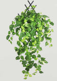 Pack Of 3 Silk Polyester Artificial Money Plant Leaf Vine Hanging Garland Foliage Flowers Leaf Plants For Wall Decoration (Color: Green,Length: 15 Feet) - GillKart