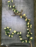 Artificial Flower Creeper Hanging Rose Garland For Home Decoration (Color: Cream, Material: Silk Polyester) - GillKart