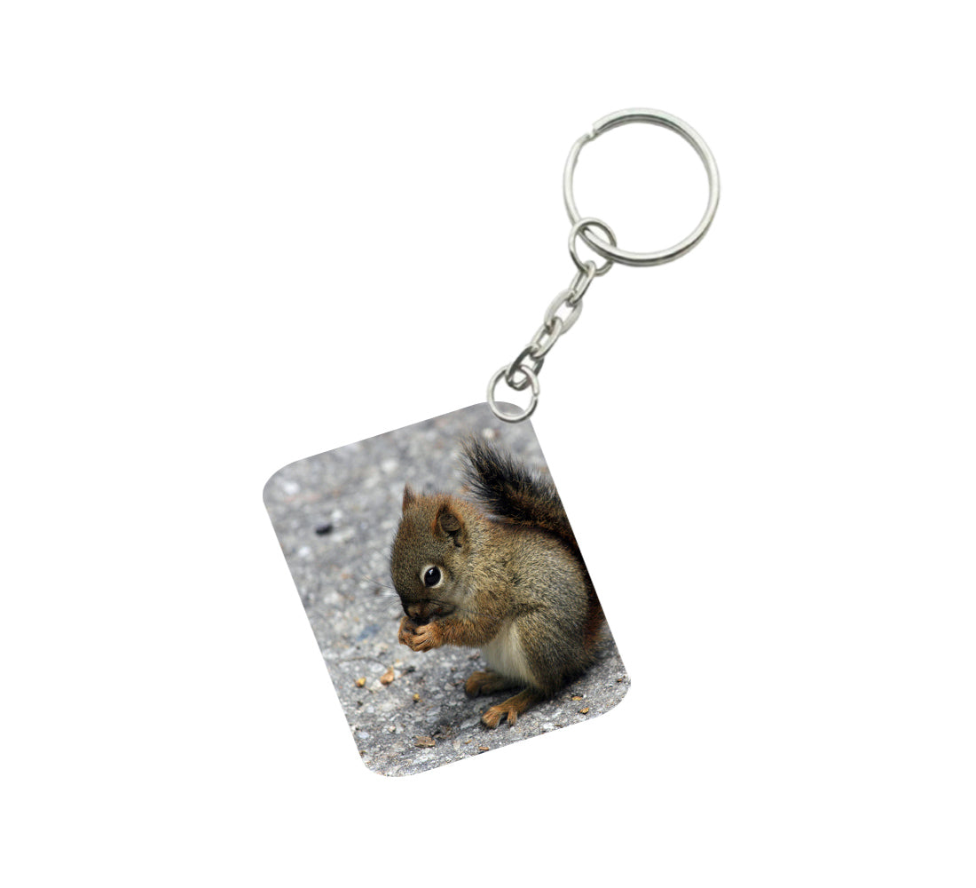 Pack Of 3_ Squirrel One Side Printed Rectangle Designer Keychain (Brown) - GillKart