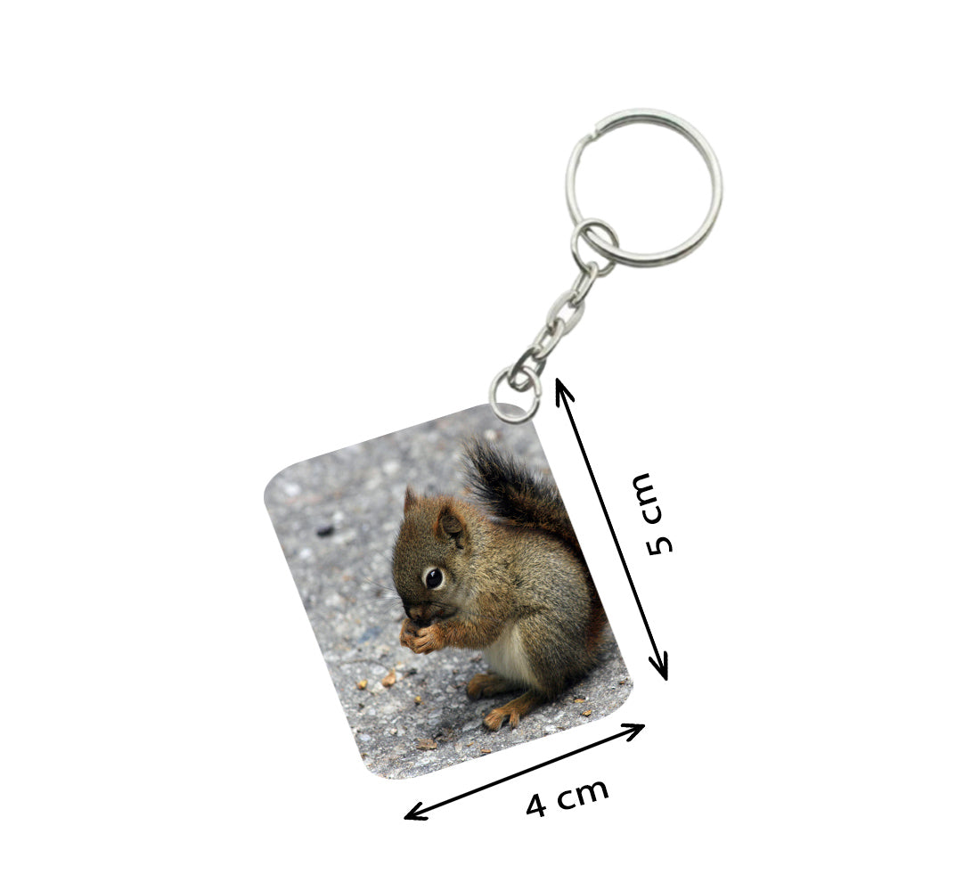 Pack Of 3_ Squirrel One Side Printed Rectangle Designer Keychain (Brown) - GillKart